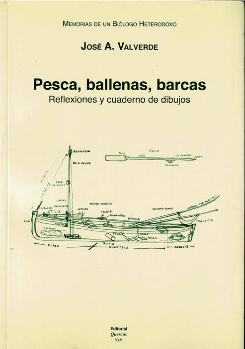 PESCA, BALLENAS, BARCAS: REFLEXIONES Y CUADERNOS DE DIBUJOS