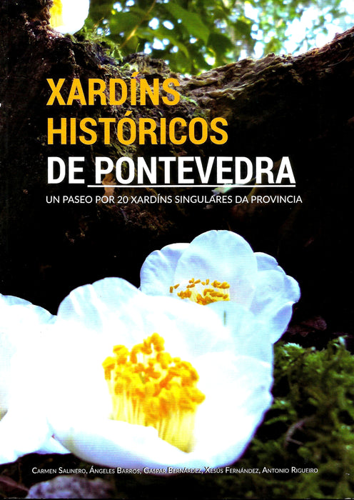 XARDÍNS HISTÓRICOS DE PONTEVEDRA: UN PASEO POR 20 XARDÍNS SINGULARES DA PROVINCIA
