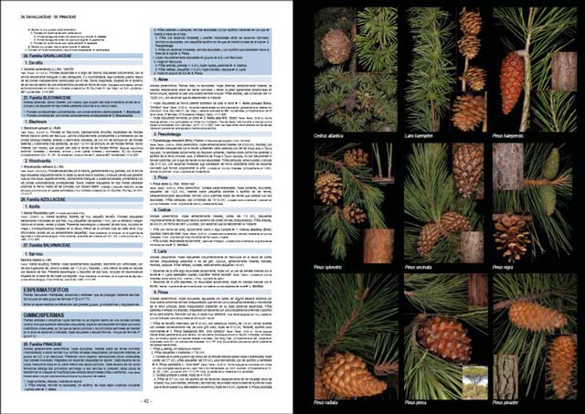 PLANTAS SILVESTRES DE ESPAÑA PENINSULAR