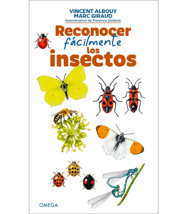 RECONOCER FACILMENTE INSECTOS