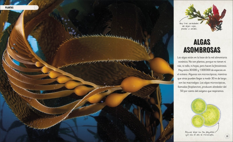 OCÉANOS INCREÍBLES