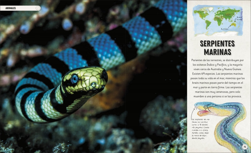 OCÉANOS INCREÍBLES