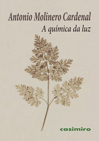 A QUIMICA DA LUZ