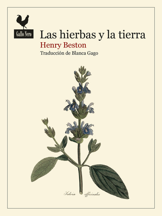 LAS HIERBAS Y LA TIERRA