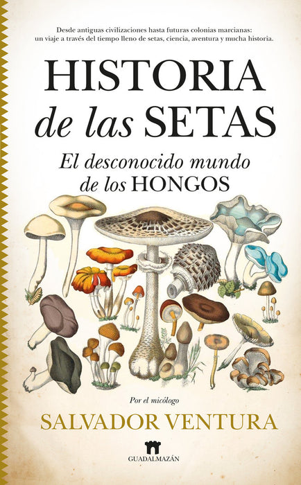 HISTORIA DE LAS SETAS