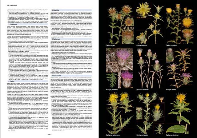 PLANTAS SILVESTRES DE ESPAÑA PENINSULAR