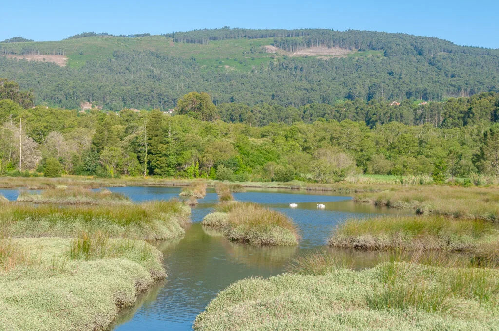 MARAVILLAS DE GALICIA