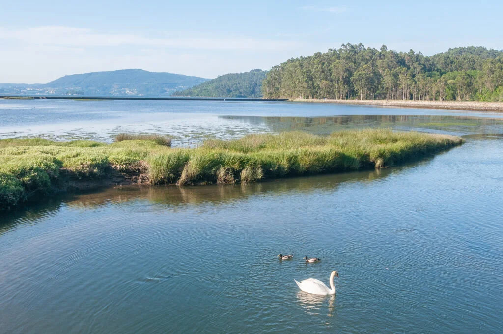 MARAVILLAS DE GALICIA