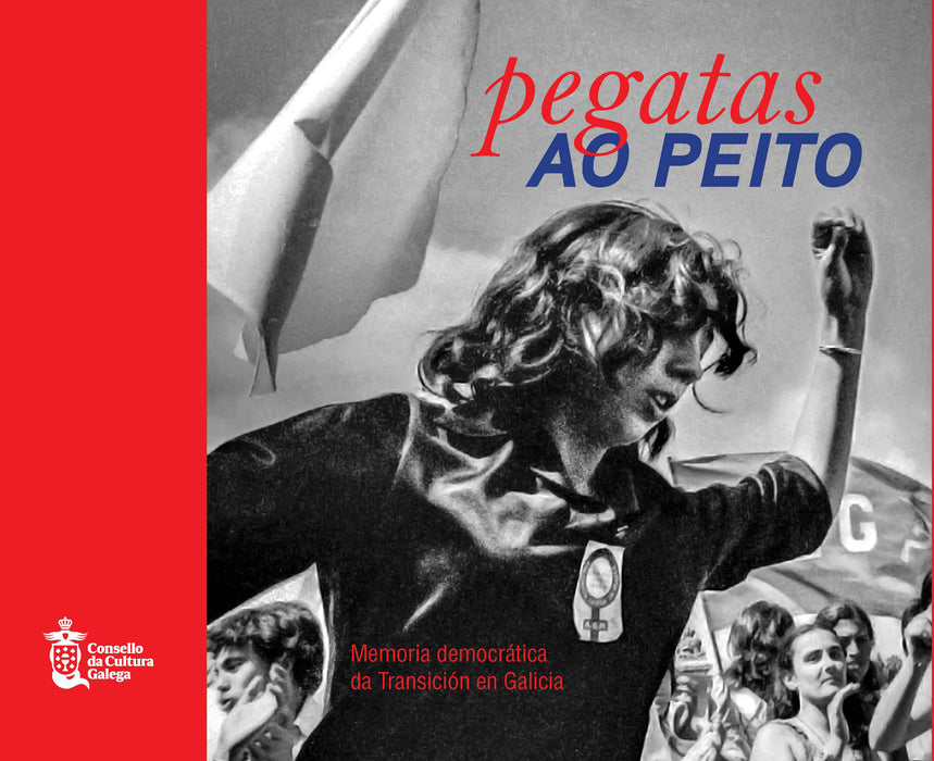 PEGATAS AO PEITO. MEMORIA DEMOCRÁTICA DA TRANSICIÓN EN GALICIA