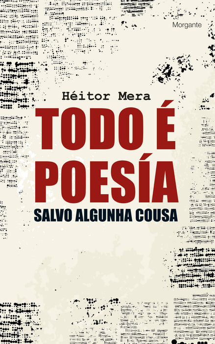 TODO É POESÍA SALVO ALGUNHA COUSA