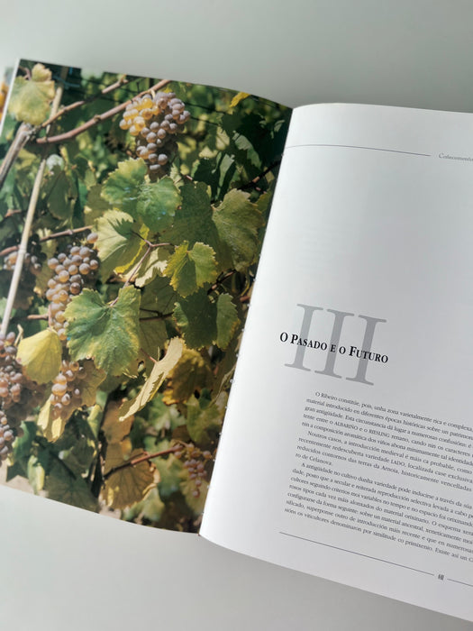 O RIBEIRO. EL VINO DE LA CULTURA, LA CULTURA DEL VINO