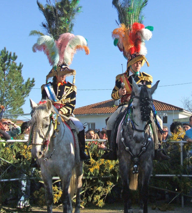 VIVA¡ OS XENERAIS DA ULLA