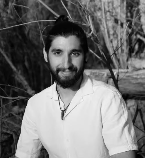 ASILVESTRARSE: VOLVER AO SALVAXE