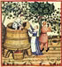 VIÑO E VITICULTURA NA GALICIA MEDIEVAL: (SÉCULOS IX-XIV)