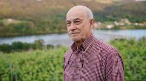 O RIBEIRO. EL VINO DE LA CULTURA, LA CULTURA DEL VINO