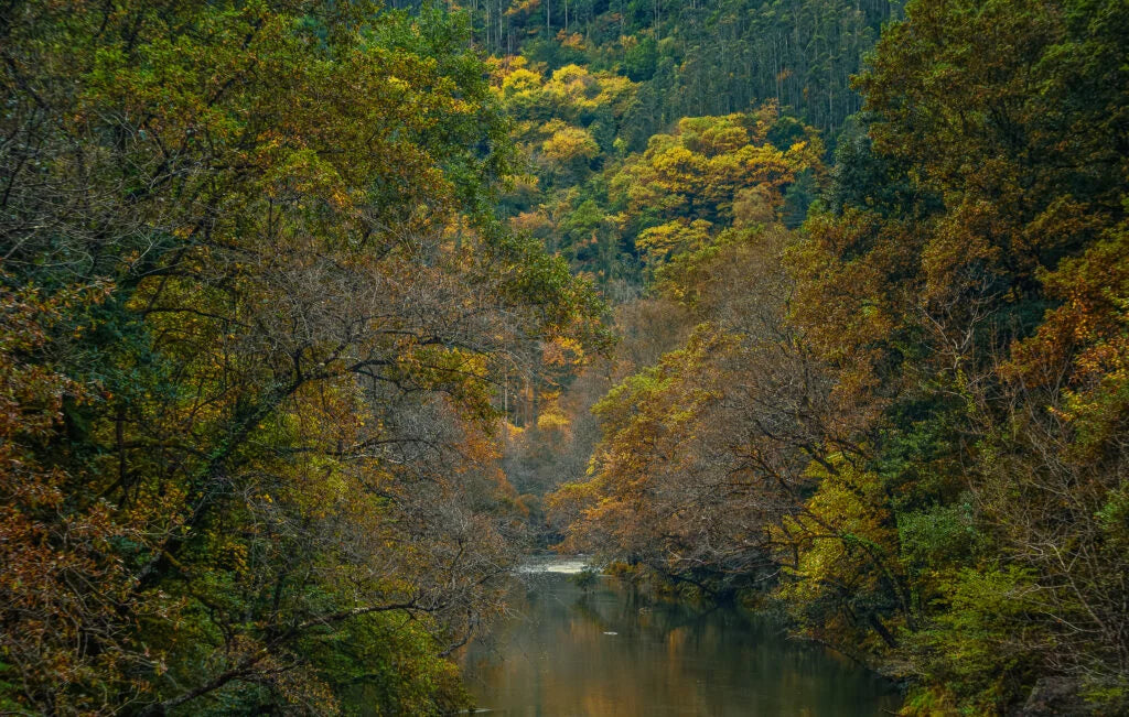 MARAVILLAS DE GALICIA
