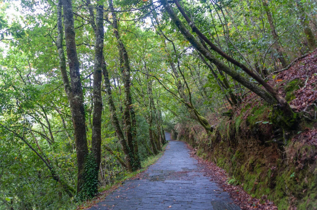 MARAVILLAS DE GALICIA