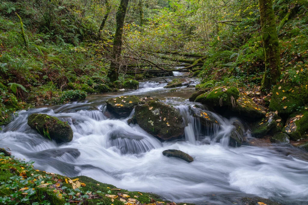 MARAVILLAS DE GALICIA
