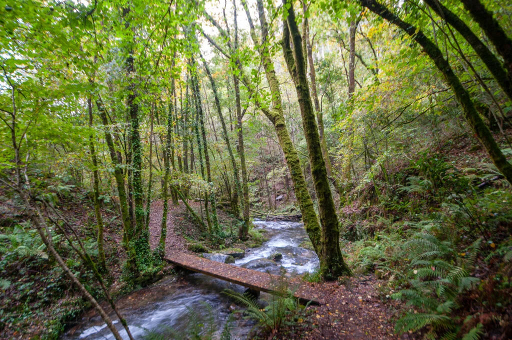 MARAVILLAS DE GALICIA