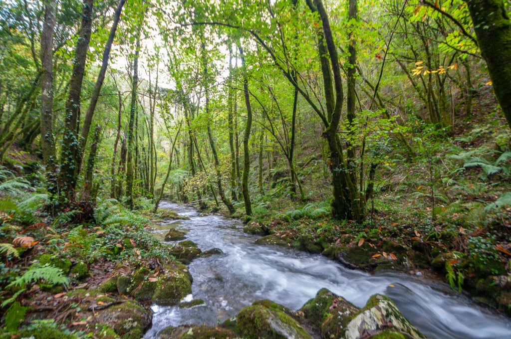 MARAVILLAS DE GALICIA