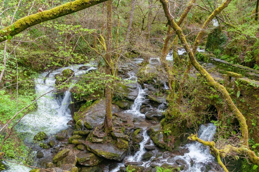 MARAVILLAS DE GALICIA