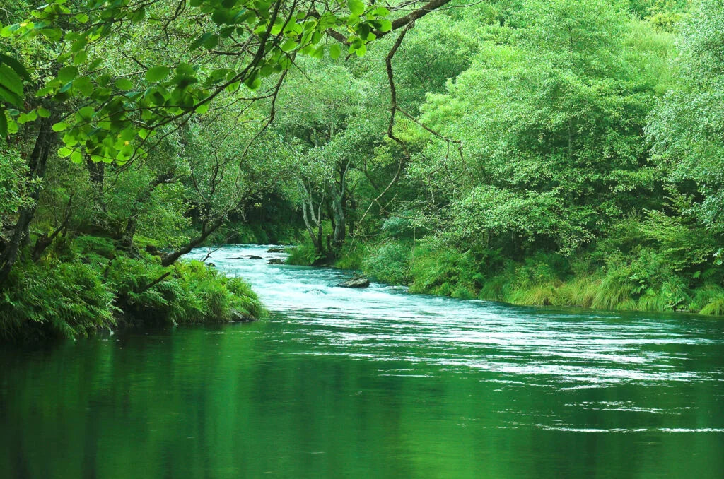 MARAVILLAS DE GALICIA