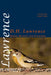 Image Alt Text