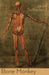 Image Alt Text