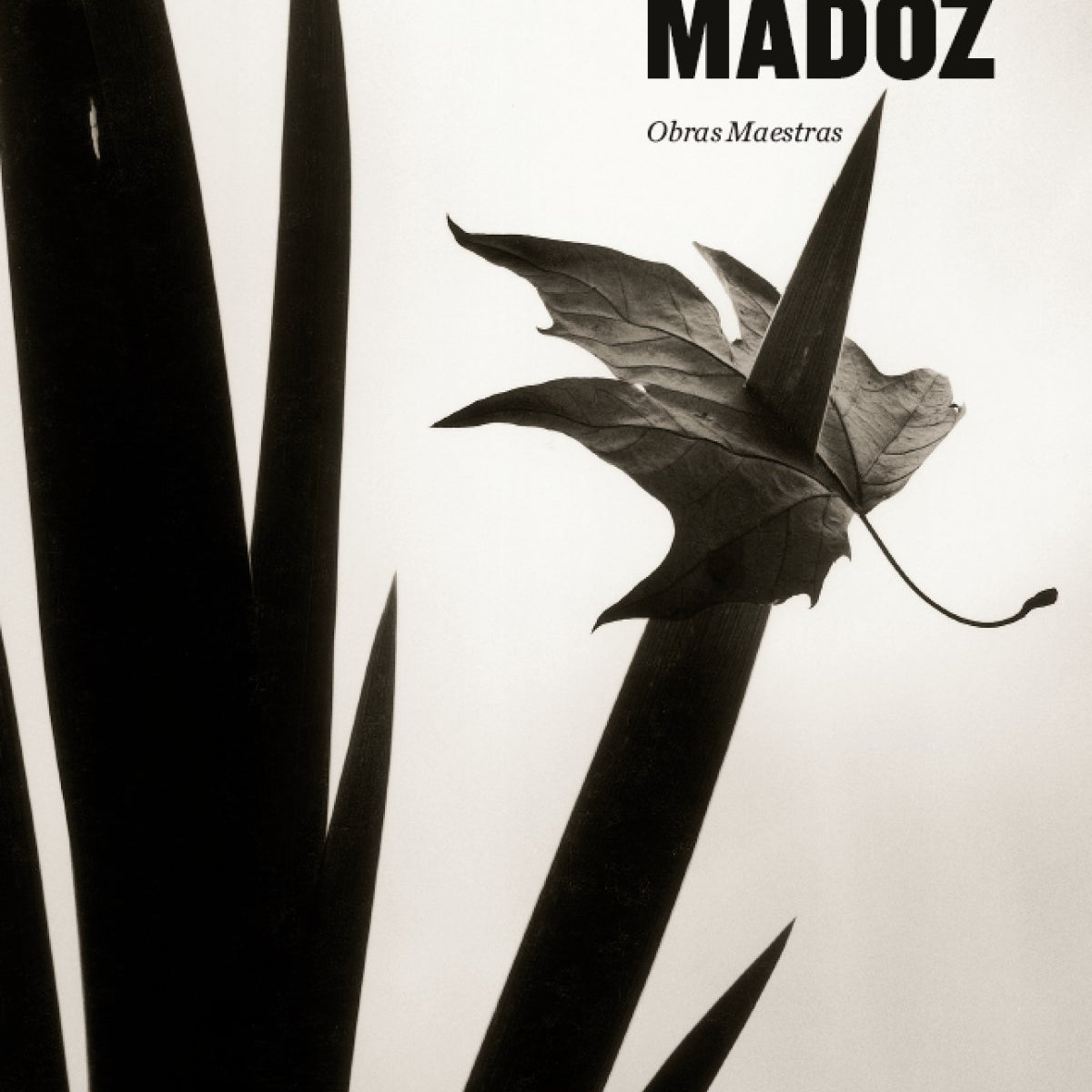 CHEMAMADOZOBRASMAESTRAS_1200x1